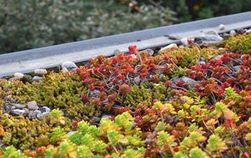 the cost of Ashley Moor green roof installation
