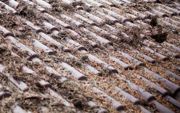 Ashley Moor roof cleaning companies